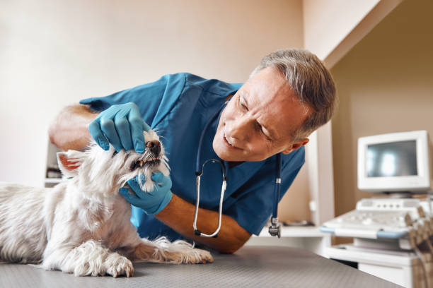 Best Emergency Treatment for Dental Infections or Abscesses in Slaughterville, OK